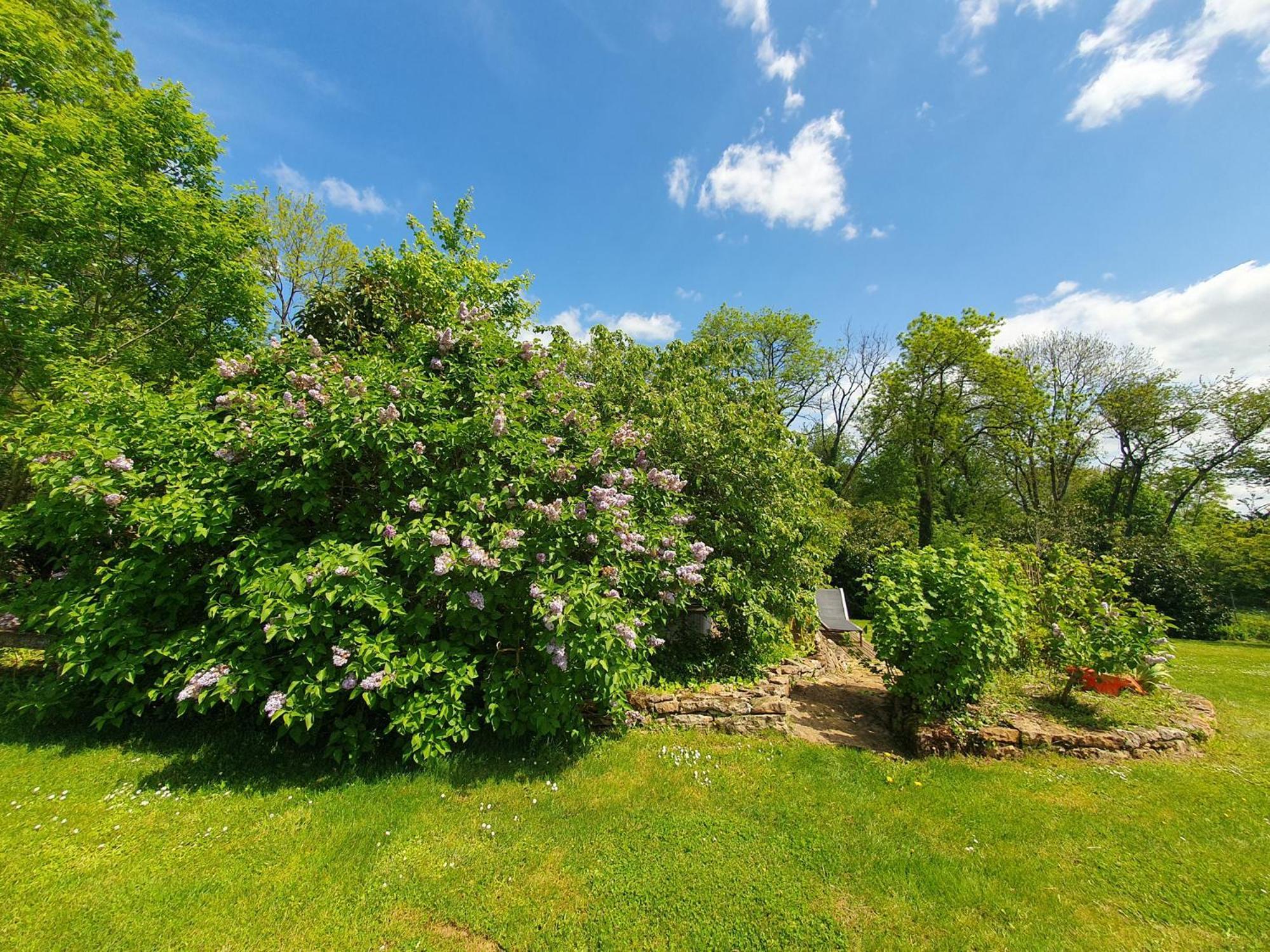 Bed and Breakfast Jardin Des Sens, La Rente D'Eguilly Esterno foto